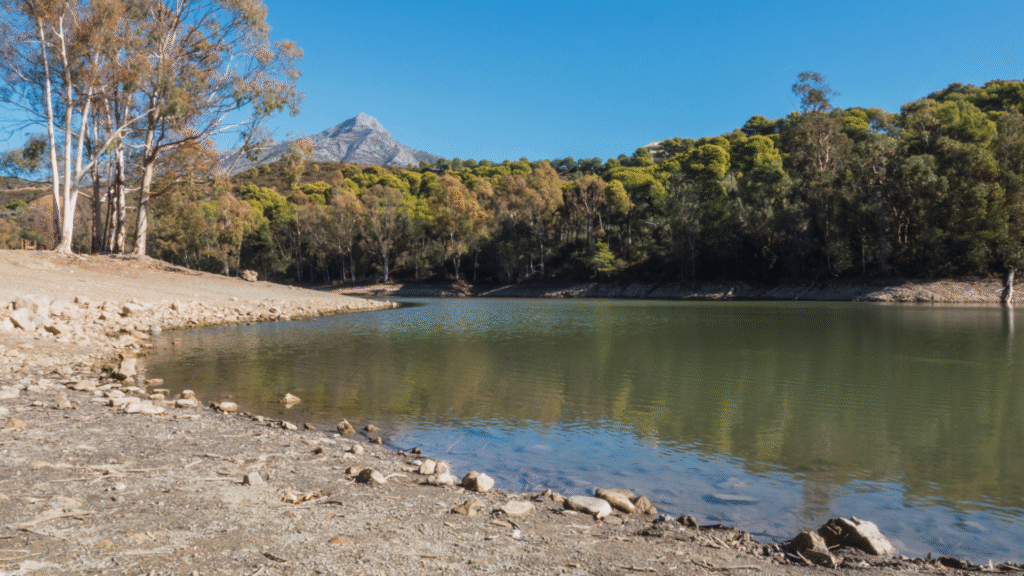 Peaceful lake surrounded by trees and mountains in Nueva Andalucía, one of the best areas in Nueva Andalucia and a popular place for expats to settle on the Costa del Sol.