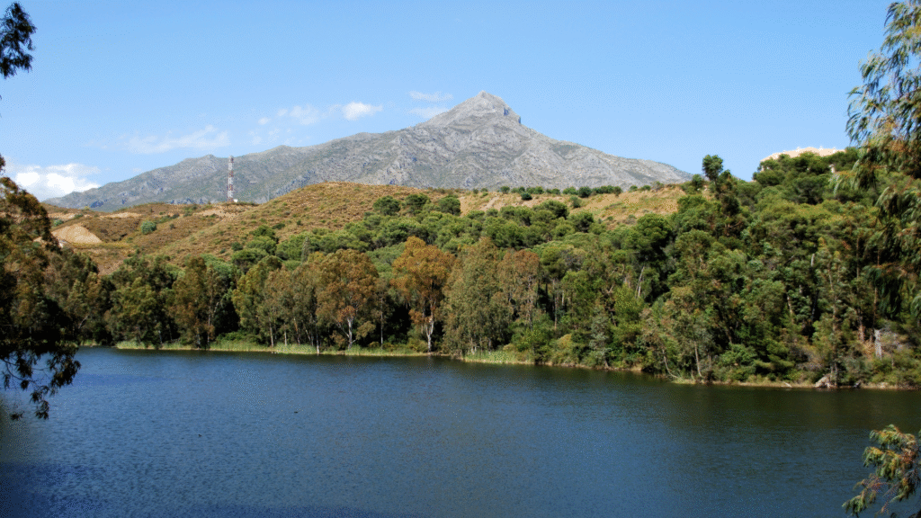View of La Concha Mountain and greenery in Nueva Andalucía, Marbella—illustrating the current property market—Quintessentia Property Advisors