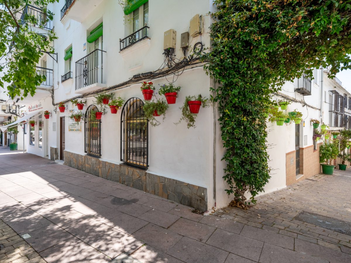 Charming whitewashed street in Estepona with traditional Andalusian architecture and flower pots in Estepona old town.