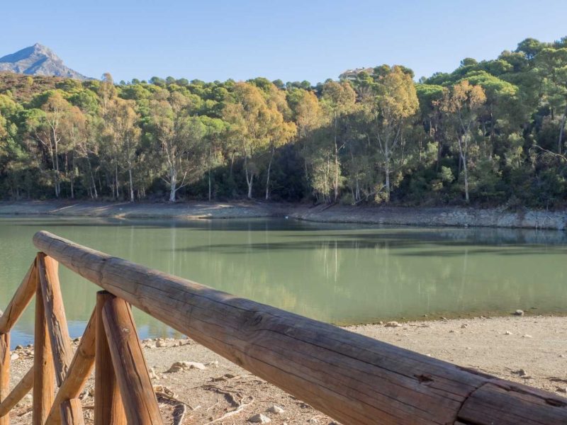 Scenic view of lake and mountains near Nueva Andalucía, Marbella, surrounded by pine forests — popular area for luxury villas